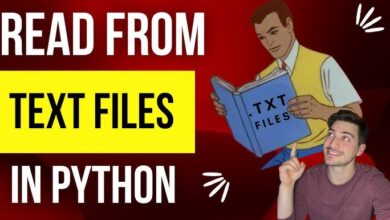 How to Read a Text File in Python